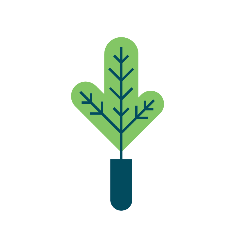 White_Seedling