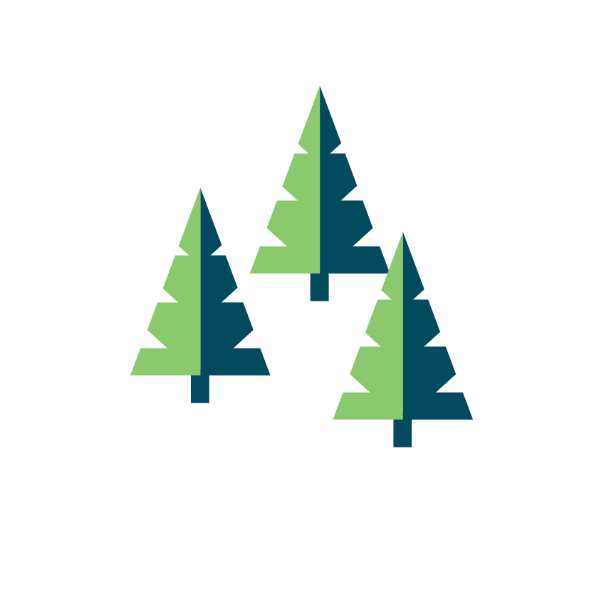 White_Tree Group